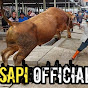 Sapi Official