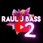 Raul j bass 2 Variados 