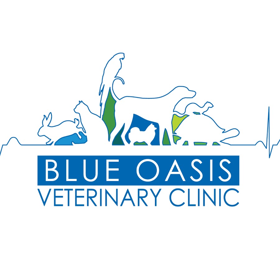 Blue Oasis Veterinary Clinic - YouTube
