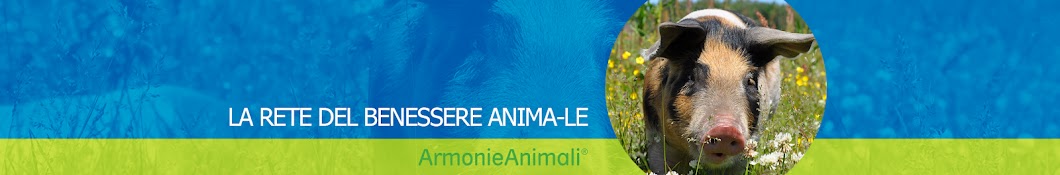 Armonie Animali