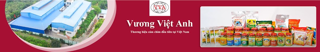 Cám Chim Vương Việt Anh