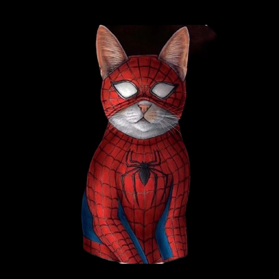 Кот в костюме человека паука