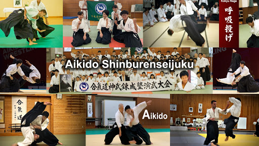 Aikido Shinburenseijuku - 合気道神武錬成塾