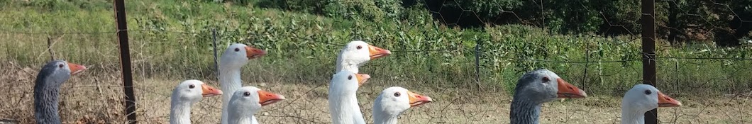 Kayıp_kenTin YakışıkLısı