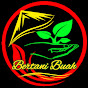 Bertani Buah