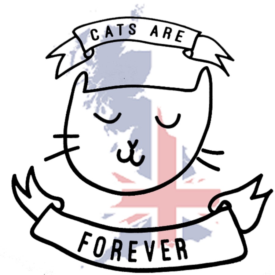 CatsAreForever Британская Мурзилка