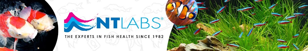 NT Labs Fishkeeping