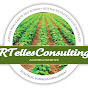 RTELLES CONSULTING