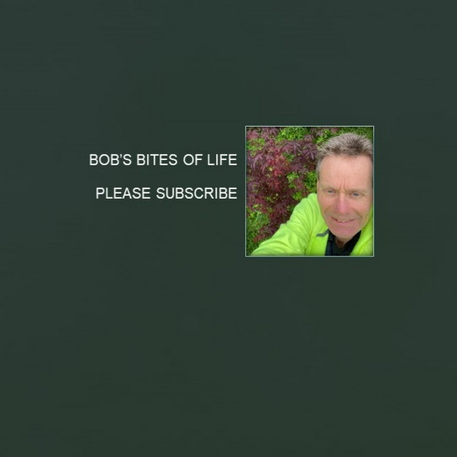 Bobs  Bites of Life