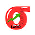 logo Lucid Studio