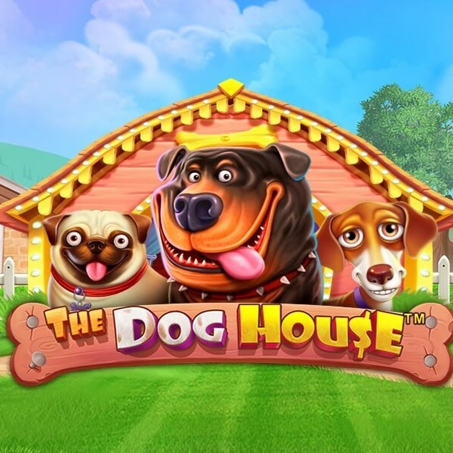 Играть в dog house dogs house net