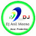 Dj Anil Meena