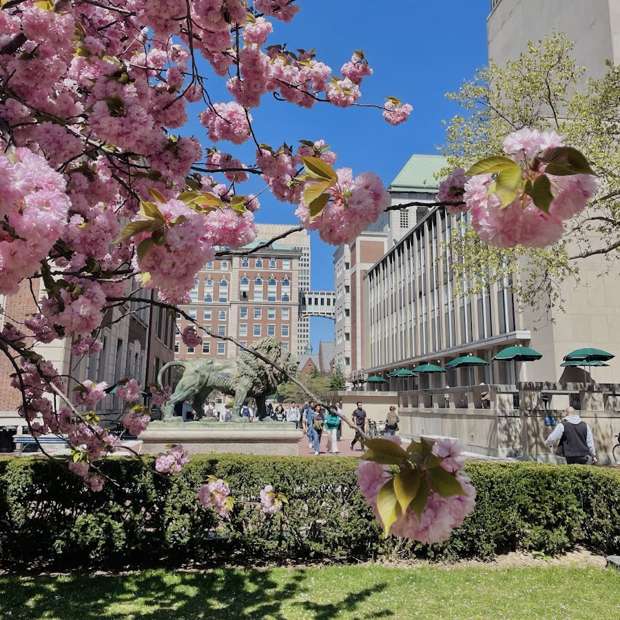 YJ in New York