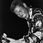 Luther Allison - Topic