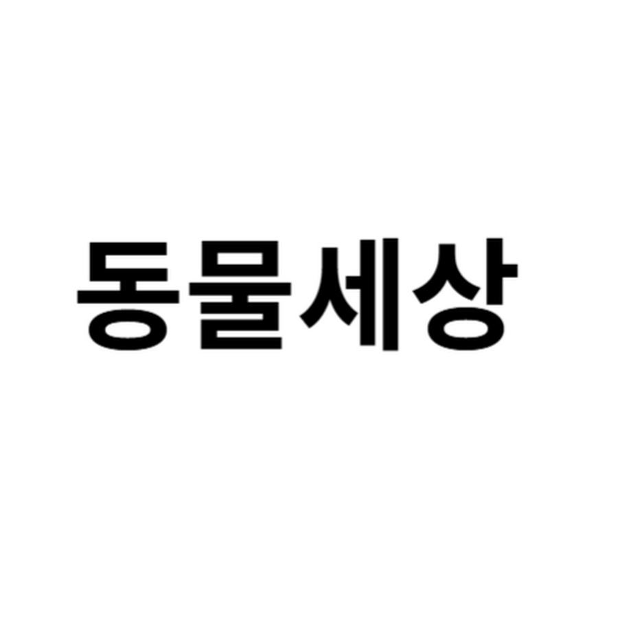 동물세상 - YouTube 동물세상