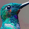 Artist Thumbnail