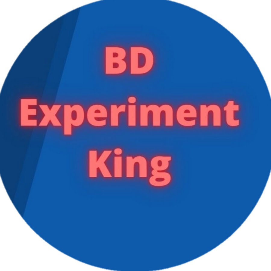 experiment king book