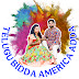 Telugu Bidda America Adda