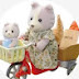 Sylvanian Drama