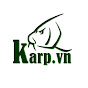 Karp VN