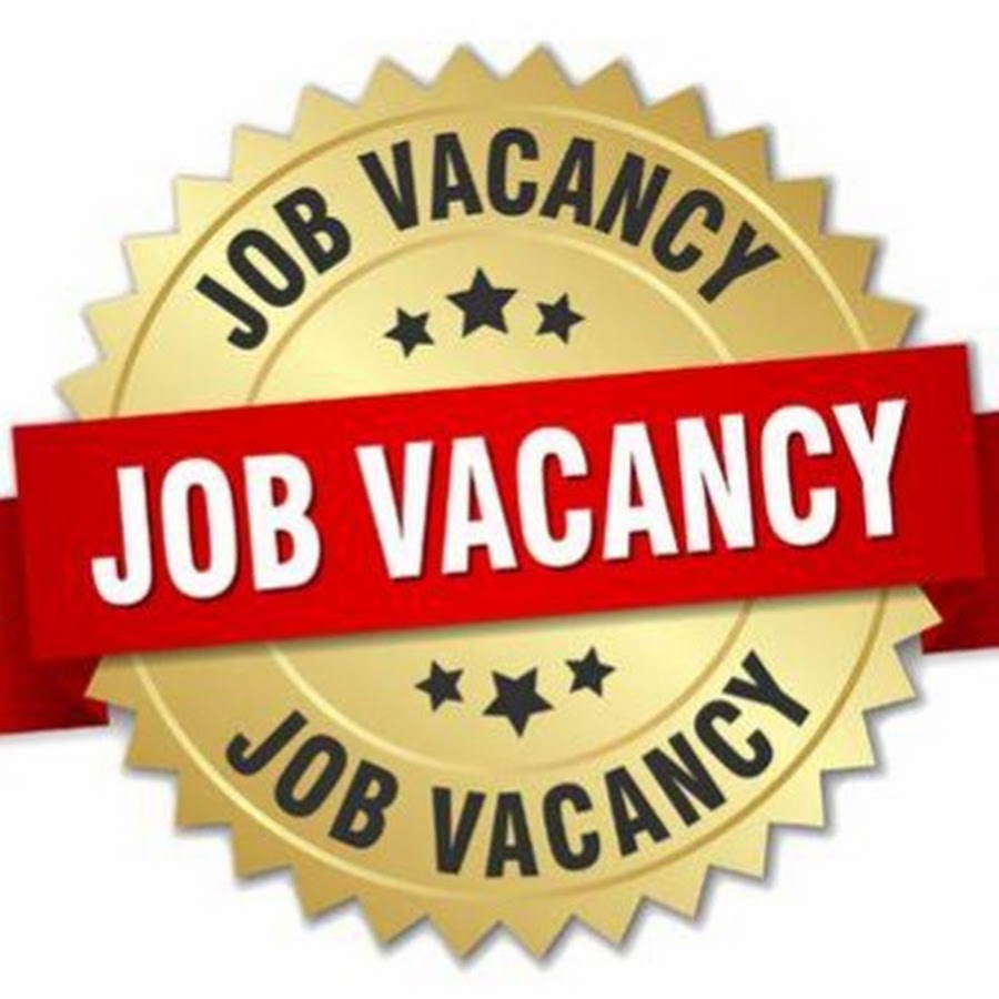 Sushil k job updates youtube