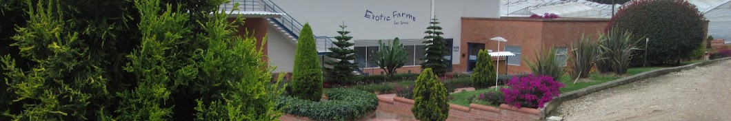 Exotic Farms Colombia