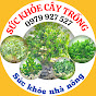 SỨC KHỎE CÂY TRỒNG MKA