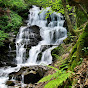 Water And Nature