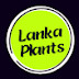 Lanka plants