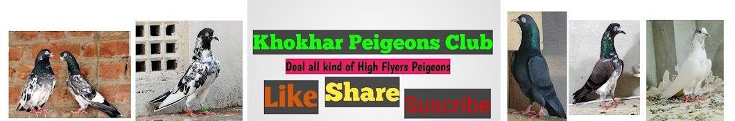 Khokhar Pigeons Club Banner