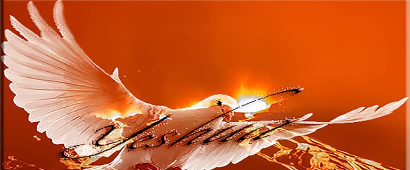 Artist Thumbnail