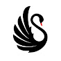 Black Swan Business Setup Services