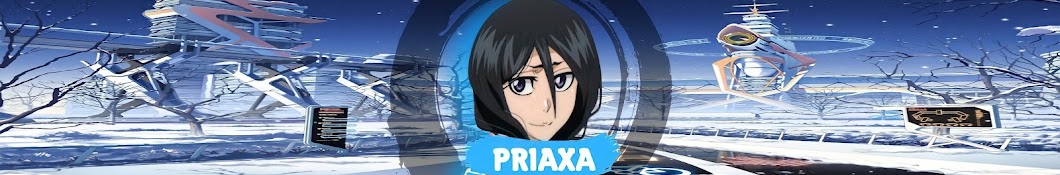 Priaxa Banner