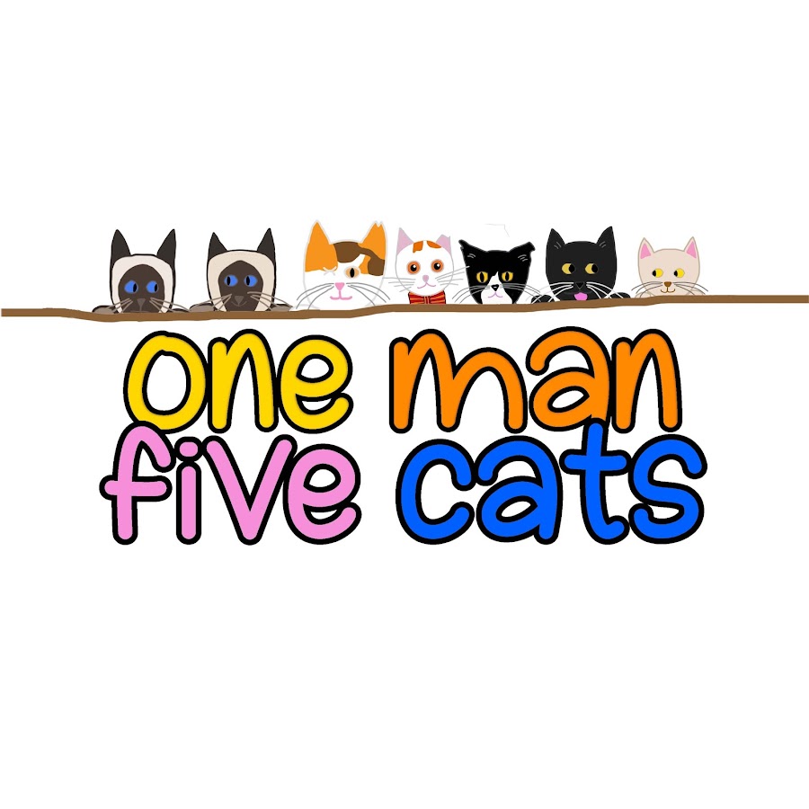 One Man Five Cats
