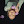 amelitvit avatar