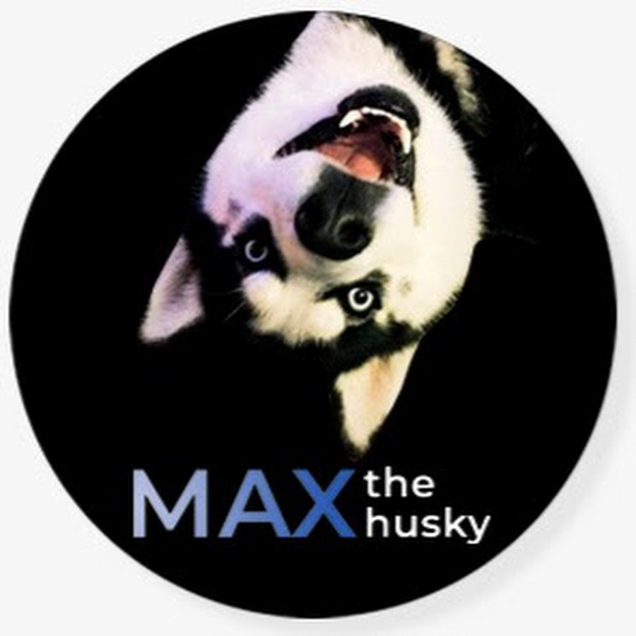 Max the Husky the talking dog @MaxTheHuskyOficial