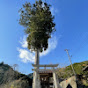 じゃすの神社 おまいりさん