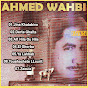 Ahmed Wahbi - Topic