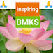 Inspiring BMKS