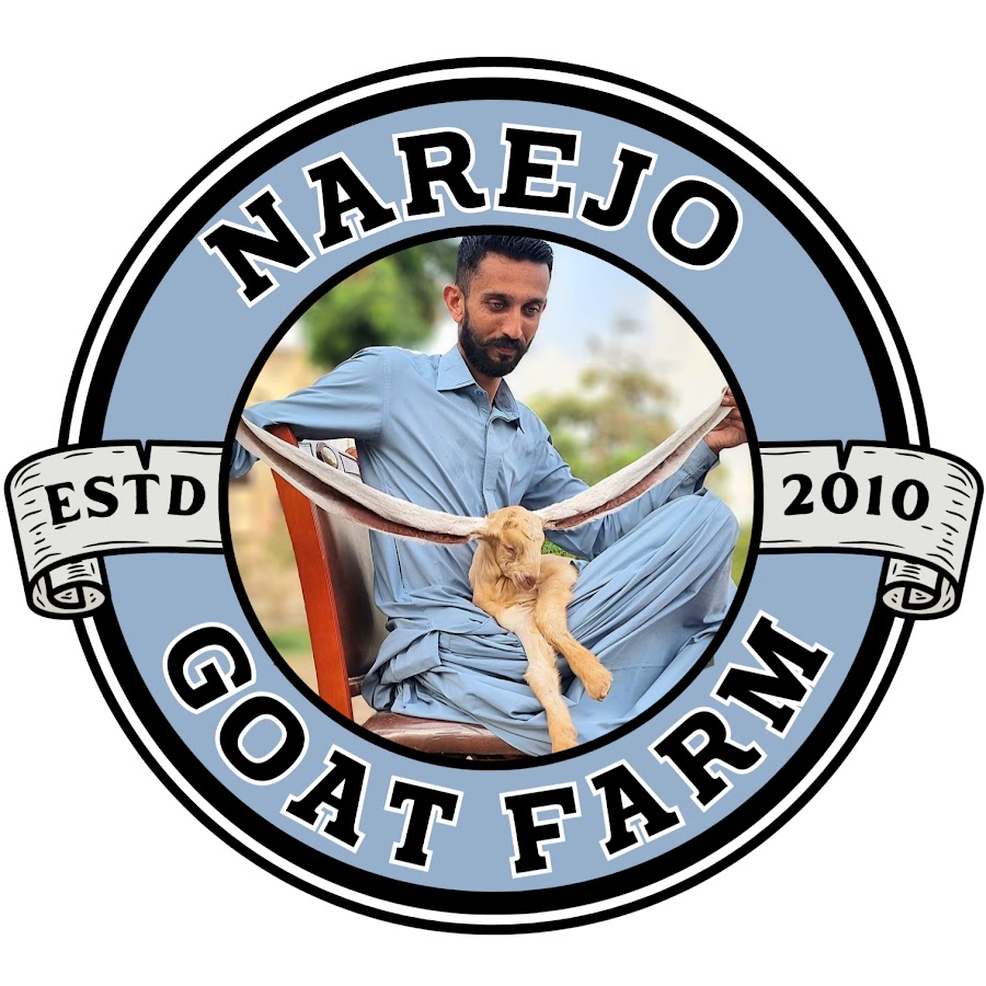 Narejo Goat Farm @narejogoatfarm9487