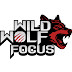 Wild Wolf Focus