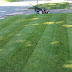 logo Alec's Lawn Adventures