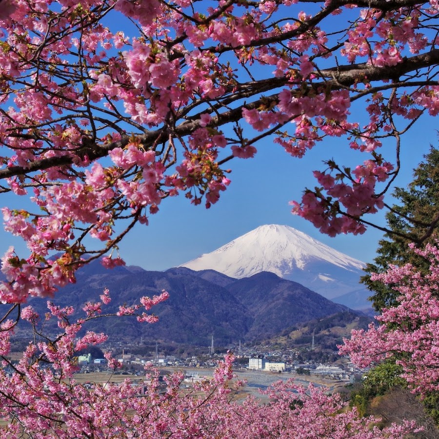 Vuiligheid muziek Belastingbetaler JAPAN TRAVEL & WALK for nature, landscape, flower - YouTube
