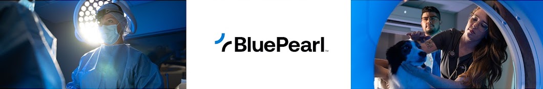 BluePearl Pet Hospital