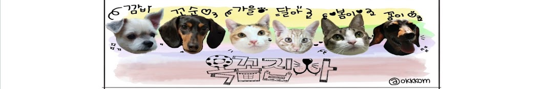 옥꼼집사네