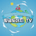 황금도야지 TV