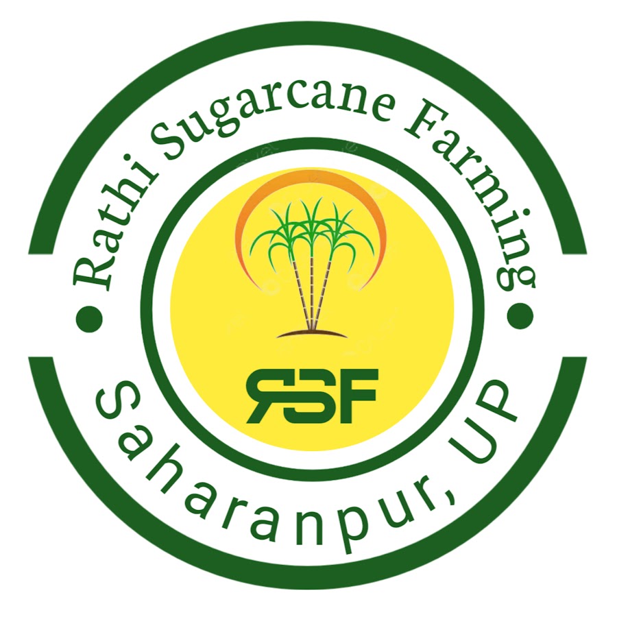 Rathi Sugarcane Farming - YouTube Rathi Sugarcane Farming