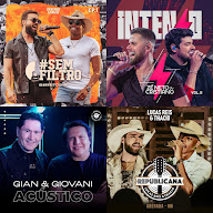 sertanejo variadas