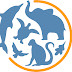 logo Animal Experience International