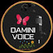 DAMINI VOICE